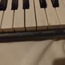Casio CT-S100 Casiotone Keyboard Image 3