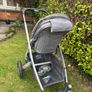 Buggy Image 3