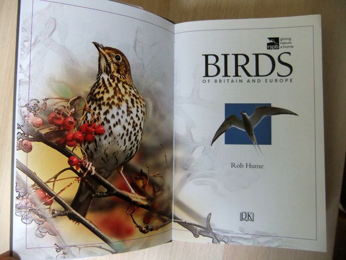 DK Birds