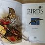 DK Birds Image 4