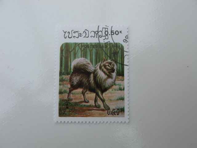 Set of Laos Stamps featuring Dogs