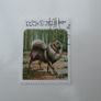 Set of Laos Stamps featuring Dogs Image 7