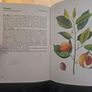 Natural Beauty Care With Flowers And Plants. B. Hlava, Z. Krejcova. Hardback In Good Condition.  See Photos For Same. Image 5