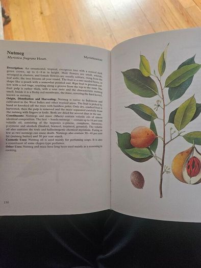 Natural Beauty Care With Flowers And Plants. B. Hlava, Z. Krejcova. Hardback In Good Condition.  See Photos For Same.