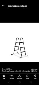 EXIT pool ladder