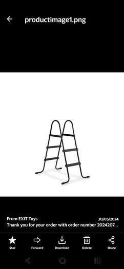 EXIT pool ladder