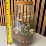Terrarium - Glass Jar with Cork Lid Image 4