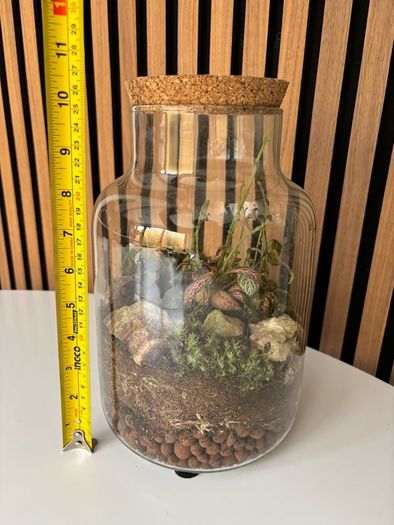 Terrarium - Glass Jar with Cork Lid