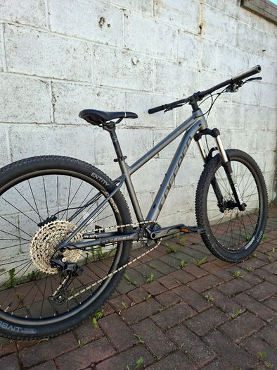 Carrera Sulcata 3.1