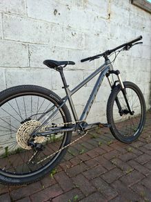 Carrera Sulcata 3.1