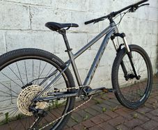 Carrera Sulcata 3.1