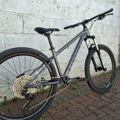 Carrera Sulcata 3.1
