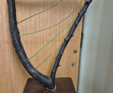Harp