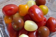 Mixed Baby Plum Tomato Plants