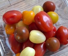 Mixed Baby Plum Tomato Plants