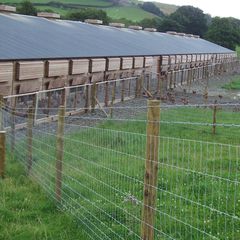 Poultry Fencing