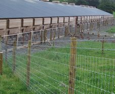 Poultry Fencing