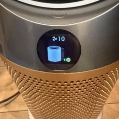 Dyson hot and cold