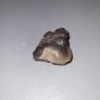 Kidney agate NWA. Image 4