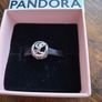 Pandora Image 4