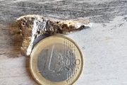 Meteorite Sikhote-Alin iron 9,45g refreshed