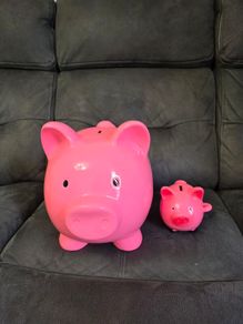 Pigs bank