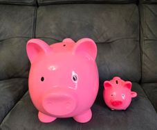Pigs bank