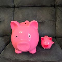 Pigs bank