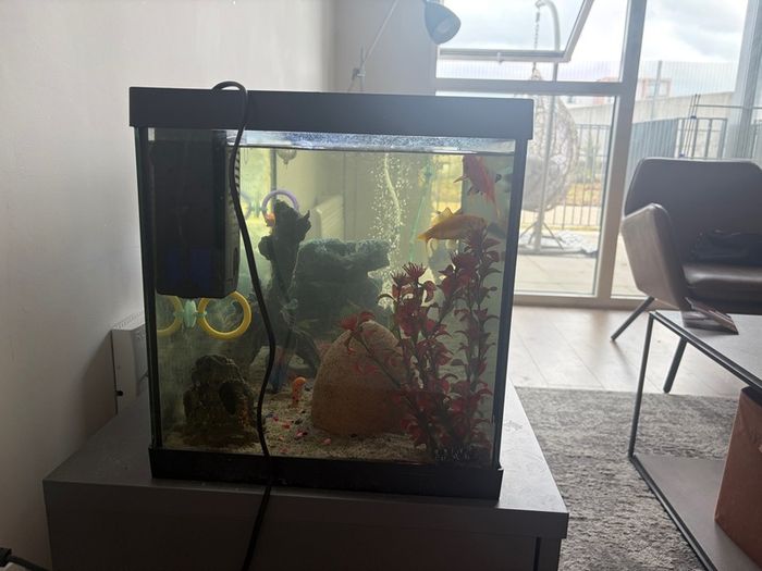 65L Fish Tank