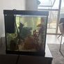 65L Fish Tank Image 3