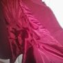 Burgundy Coat Image 4