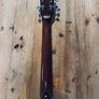 Johnson Resonator guitar Image 5