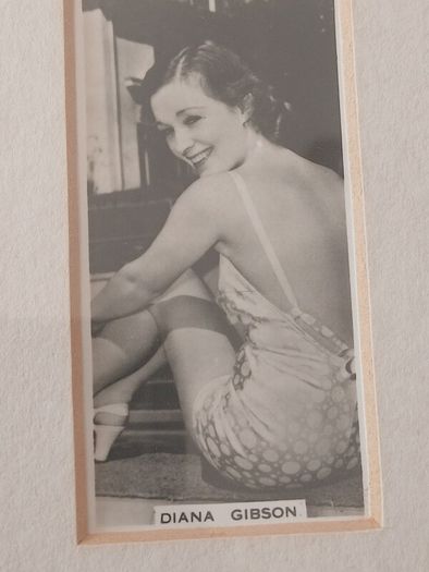 Vintage Carreras Ltd. "Film & Stage Beauties" Framed Collage