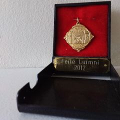 Feile Luimni  2012 - Gold ( Coloured ) Winners Medal
