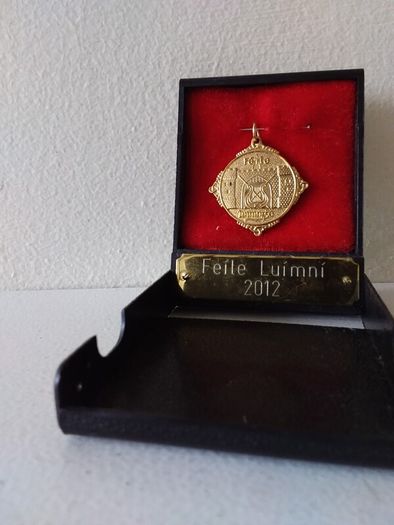 Feile Luimni  2012 - Gold ( Coloured ) Winners Medal