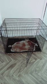 dog cage XL size