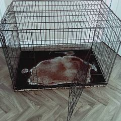 dog cage XL size
