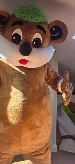 children's entertainment costume