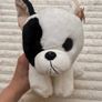 TY Beanie Baby Classic Marcel The French Bulldog 2019 approx. 20 cm. Used Please see photos Image 9
