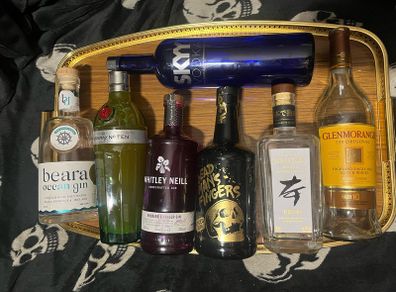 Gin whiskey rum vodka empty Bottles