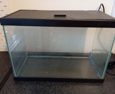 Fish tank with accesories