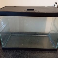 Fish tank with accesories