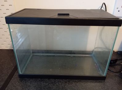 Fish tank with accesories