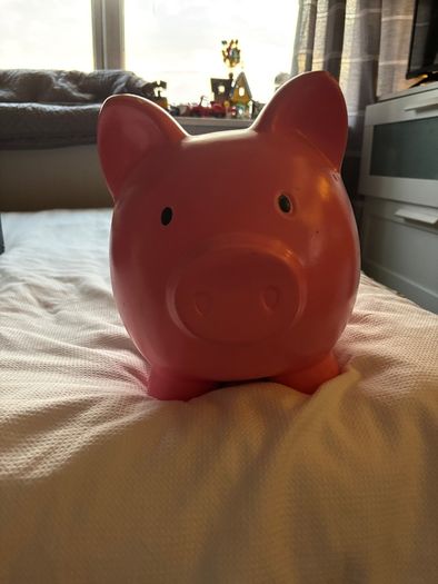 Large Piggy bank