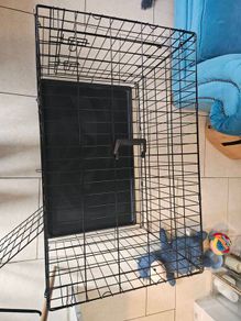 large dog crate