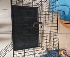 large dog crate