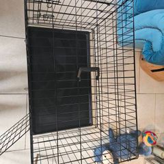large dog crate