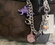 coach Bag charm
