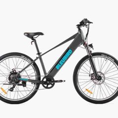 Bleubird Summit Hybrid E-Bike (2023)