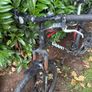 Giant Talon 2 Mountain Bike Image 3